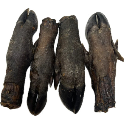 Boar Leg